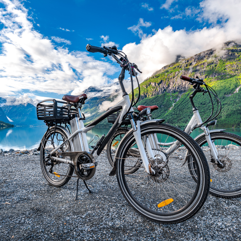 Ebike Pulse – E Bike Pulse