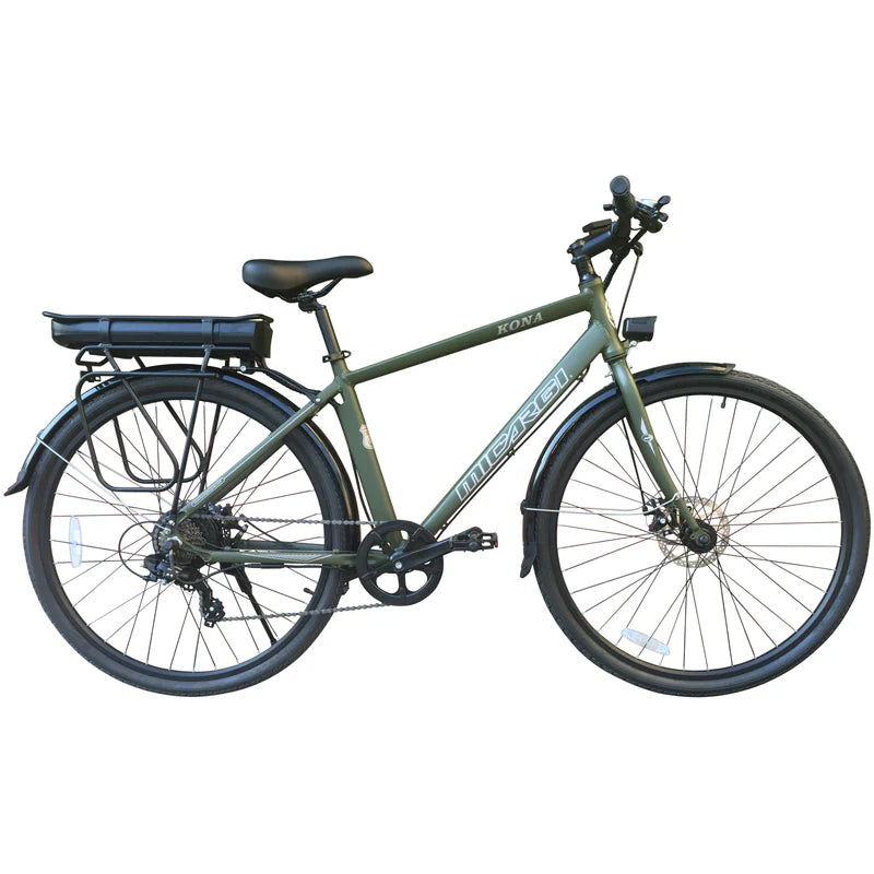 Electric Hybrid Bike