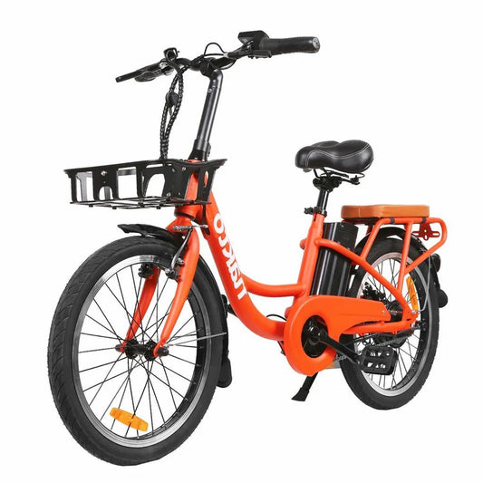 Cargo Electric Bike