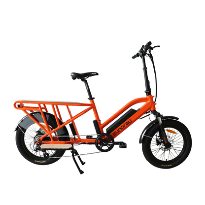 G30-Cargo Electric Bikes