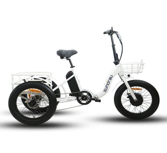 New Trike
