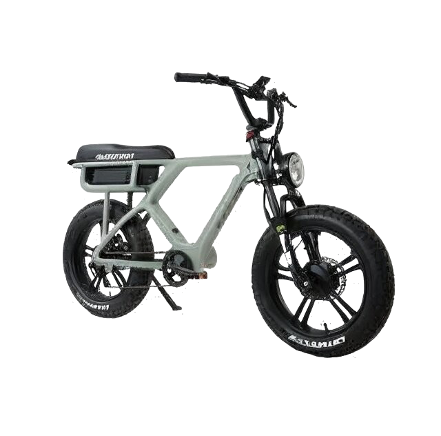 Flash -Mid motor 1000w